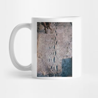 Excavation of the trail of Laetoli footprints. (E437/0040) Mug